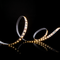 Tira de Luces LED Más Vendida - Tira de Luces LED para Interiores 24V - IP 20 - 120 Chips LED - 9W para Uso en el Hogar y Decoración, de Vietnam