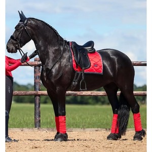 Tapis de selle d'équitation professionnels sur mesure avec doublure en polycoton, qualité supérieure, service OEM, couleur personnalisée - Product Image 3