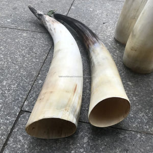 Cuerno Decorativo de Búfalo, Cuerno Largo Negro Natural con Cuerno Crudo de Buey y Vaca para Uso Decorativo en Puertas y Otros Usos por FWE - Product Image 3