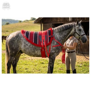 Best quality bareback saddle <b>pad</b> with <b>felt</b> fleece navajo dari set with girth stirrup strap wholesale - Product Image 2