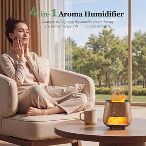 Difusor de Aroma de Sal del Himalaya de Alta Calidad, Diseño de Cristal Natural, Difusor de Aroma de Sal del Himalaya con Brillo Cálido - Product Image 2