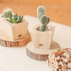 Set of 3 <b>Rectangular</b> Solid Wooden Planter Block Trio Tabletop Succulent <b>Flower</b> <b>Pot</b> Desk Organizer Container Box - Product Image 5