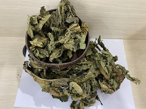 GRAN VENTA |   Hojas de Papaya Secas Premium, Té de Hojas en Rodajas, Envasado al Vacío para Extracción de Bebidas y Cocina, de Blue Lotus - Product Image 4