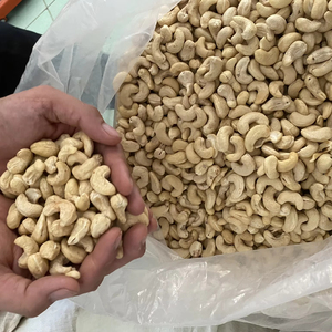 Vietnam Organic Roasted Cashew <b>Nuts</b> & <b>Kernels</b> ISO Certified Vacuum Packed Good Quality Wholesale for Export Phalco Brand Grade a - Product Image 1