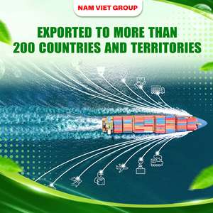 Bebida en Lata de 490 ml, Sin Azúcar Añadido, Sin Gluten, Sin OMG, Esterilizada, Almacenamiento a Temperatura Ambiente, Vitamina C, Marca Privada OEM/ODM - Product Image 5