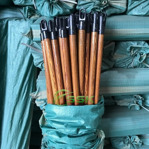Balai et serpillière en bois naturel 2-en-1 pour le nettoyage de la maison, des toilettes et des meubles, poils doux, manche en plastique écologique, portable - Product Image 5