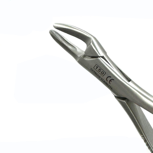 Forceps dentaires à dents crantées pour extraction # 150, pour incisives maxillaires, canines, prémolaires et racines, manche en or de qualité supérieure - Product Image 4