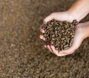 Premium Grade Canola Meal From Thailand-Multiple Uses Available For Sale - Product Image 2