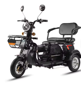 800W 1000W Electric Tricycles 3 <b>Wheel</b> Electric Cargo Bike Household <b>Small</b> Scooter Three-seat Adjustable Electric Tricycles - Product Image 2