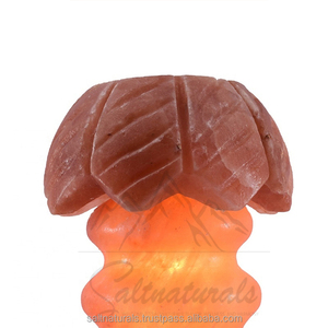 Lámpara de Sal del Himalaya de Calidad para el Hogar, Iluminación Tranquila, Lámpara de Sal Natural del Himalaya, Belleza - Product Image 4