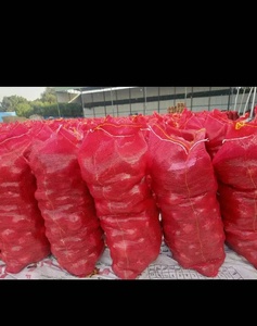 <b>Fresh</b> Red Onion Whole Bulb Aromatic <b>Vegetable</b> 30cm 25kg Non-Peeled for Retail Grocery - Product Image 3