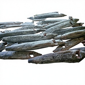 Marlín Rayado Congelado de Costa de Marfil, Pescado de Alta Calidad, Certificado ISO GMP HACCP, Directo de la Fuente, Venta al por Mayor - Product Image 5