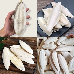 Os de seiche séchés du Vietnam pour produits pour animaux de compagnie, sources de calcium et acheteurs en gros - Product Image 6