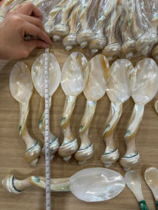 Cuillère en coquillage, accessoire artisanal en coquillage naturel pour la décoration côtière, présentation en magasin et commerce de gros, adapté aux restaurants - Product Image 2
