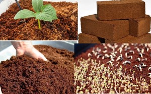 Coco Coir Bricks for Natural Plant Growth Coconut Brick Grow Plant Medium <b>Soil</b> Compress Coconut Peat Grow Coco Coir Block - Product Image 4