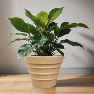 Wholesale Cork <b>Planter</b> for Succulents, Herbs, and <b>Small</b> Plants - Product Image 1