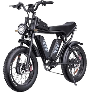 ขายจักรยานยนต์ C-20/MAX 52-V 2000/W มอเตอร์คู่ 40A/H ปี 2025 จัดส่งรวดเร็ว - Product Image 1