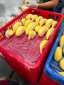 Suministro a granel de pulpa de durian congelada vietnamita - Product Image 4