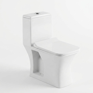 Inodoro Minimalista de Una Pieza Alargado con Doble Descarga, Botón de Pared, Montaje en Suelo, Porcelana, Sifón en S, Fácil Limpieza, Accesorio de Baño - Product Image 1