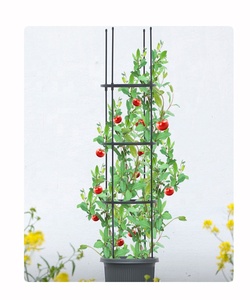 Supports ronds pour tomates, treillis de jardin pour plantes grimpantes - Product Image 1