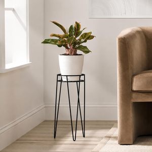 Support de Plante Moderne en Métal pour Pot de Fleurs, Plante Succulente, Intérieur/Extérieur, Décoration de Jardin et Maison, Support Minimaliste en Fil Métallique avec Pince à Cheveux - Product Image 3