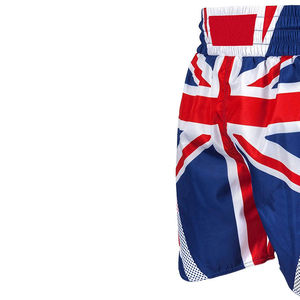 Shorts Profesionales de MMA al por Mayor, Transpirables, Elásticos, de Poliéster y Spandex, para Artes Marciales Mixtas - Product Image 6