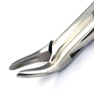 Forceps d'extraction dentaire 101, forceps orthodontiques, forceps chirurgicaux en acier inoxydable dentelé, instruments dentaires - Product Image 5