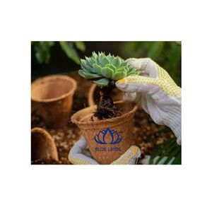 Pot en fibre de coco écologique Blue Lotus, très demandé |   Pot de fleurs biodégradable pour plantes d'intérieur, style classique traditionnel campagnard - Product Image 1