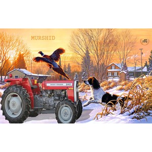 Tractor Massey Ferguson de bajo consumo de combustible MF 240 2WD 50 HP con implementos compatibles para uso agrícola para uso en el sur de Asia y Af - Product Image 3