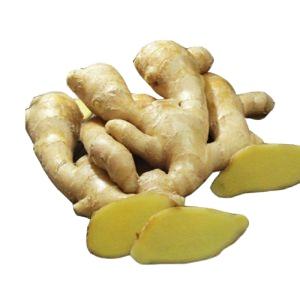 Produit agricole gingembre à prix compétitif, gingembre vietnamien de qualité supérieure par vacances - Product Image 5