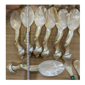 Cuillère en nacre naturelle, manche en coquille fait main, couverts artisanaux pour restaurant et hôtel - Product Image 5