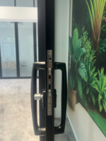 Aluminium-Legierung Schiebefenster mit Horizontalöffnung, Minimalistisches Design, Schwarzer Rahmen, Gehärtete Glaspaneele