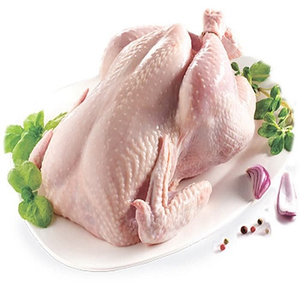 Frozen Whole <b>Chicken</b> BQF Process 24 Months Shelf Life Wholesale Premium Grade Bulk Supply for Import and Retail - Product Image 5