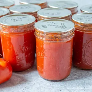 Fabrika toptan garantili kalite uygun fiyat domates püresi