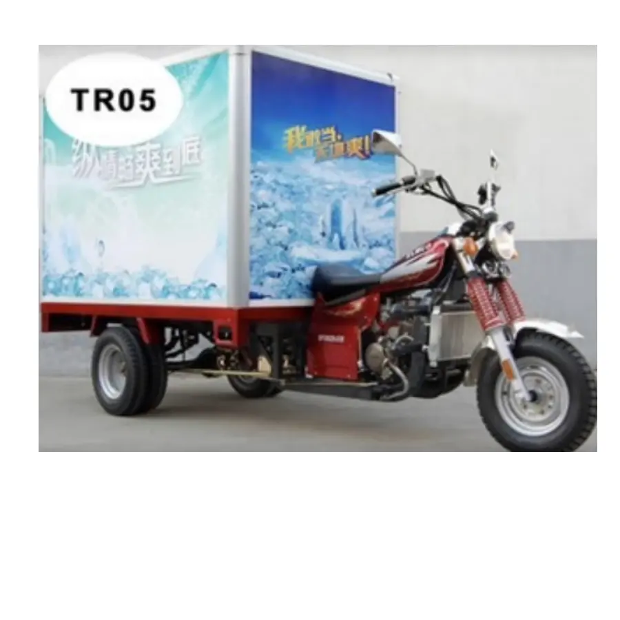 Hot Sale Tuk Tuk Open Electric Scooter for Adults 3 Wheel No Doors Electric Tricycle CE OEM ODM 60V Closed Voiture 3 Roues 500kg