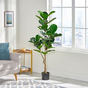 Albero Artificiale di Ficus Lyrata da 59 Pollici - Product Image 3