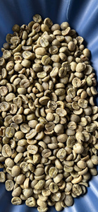 Fabricant de haute qualité certifié ISO/HACCP/BRC, sacs de 60 kg en PP, grains de café vert ARABICA semi-lavés, origine Son La, Vietnam - Product Image 6