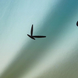 เสื้อกล้ามซับลิเมชั่นผู้ชายรุ่นใหม่ปี 2026 สไตล์อเมริกันทันสมัย เสื้อยืดออกกำลังกายแบบไม่มีแขน เสื้อผ้าฟิตเนสเนื้อผ้าบางเบา - Product Image 4