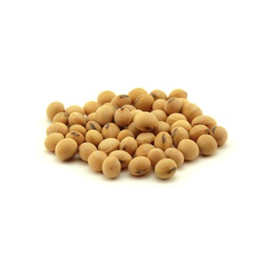 Sélection de graines de soja biologiques 100 % pures pour les acheteurs en gros – Qualité agricole naturelle et propre, récolte fraîche - Product Image 1