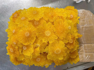 Ananas séché doux du Vietnam de qualité supérieure, collation de fruits tropicaux, riche en arôme naturel, approvisionnement direct usine OEM - Product Image 4