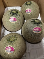 Formidabele, geëerde, bewonderenswaardige kwaliteit exotische Japanse meloen, groen-rood vlees, verse fruitimporteurs