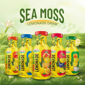 Fabricante de Bebidas con Logotipo Personalizable, Jugo de Limonada de Musgo Marino, Bebidas Embotelladas de 355 ml, Fábrica de Refrescos en Vietnam, Servicio OEM - Product Image 6