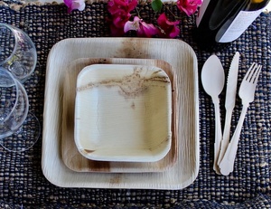 Assiettes en fibre de palmier Areca de qualité export, carrées de 10 pouces, compostables, jetables, pour aliments chauds et froids, lot de 50 - Product Image 1