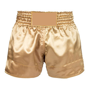 Custom Embroidery Solid Breathable 220g Front Logo 100% Polyester Silk Casual Fitness Muay Thai Cross-Training Shorts for Men - Product Image 1
