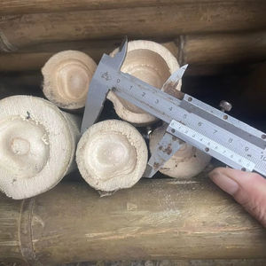 Varas de Bambú Natural al por Mayor de Vietnam para Uso en Jardines y Granjas - Product Image 1