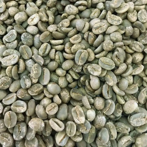 Café Vert Arabica Biologique Premium Grains de Café de Qualité AA+ Café Spécial Certifié ISO 22000 Approvisionnement en Gros TNFOOD Lam Dong - Product Image 1