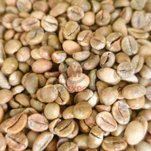 Granos de Café Verde Robusta Ecológicos, Proceso de Miel, Pantalla 18, Alta Tasa de Maduración, Nueva Cosecha, Materia Prima, Granja de Dak Lak, Vietnam - Product Image 4