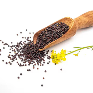 Super Spices Global Graines de moutarde noire séchées brutes du Gujarat, Inde - Paquet de 1 kg pour usage alimentaire et culinaire - Product Image 1