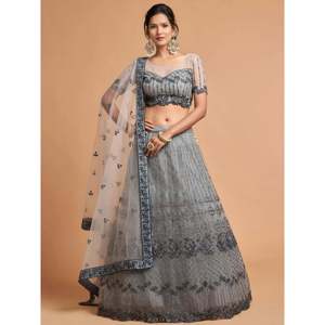 Lehenga Choli de Talla Grande con Bordado de Red para Fiesta de Noche o Quinceañera - Product Image 1
