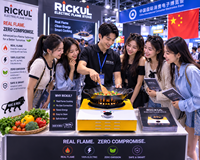 Poêle électrique à flamme plasma gris Rickul |   Réchaud portable à brûleur unique, sans fumée, sans gaz, à haute efficacité énergétique, 3000W, en verre